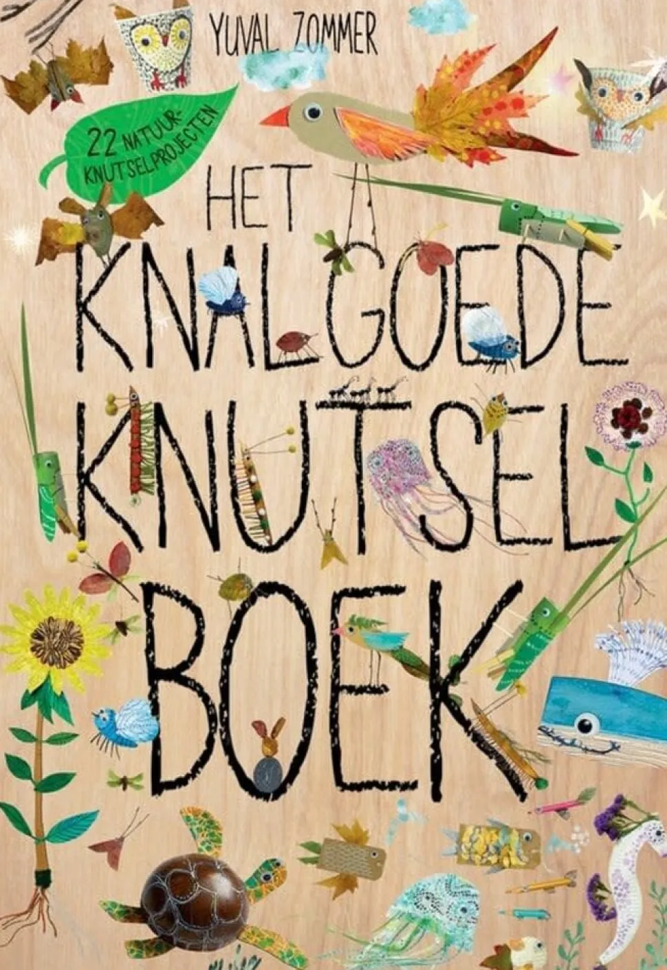 Boek | Het knalgoede knutselboek