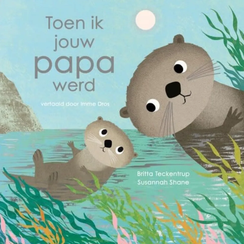 Boek | Toen ik jouw papa werd