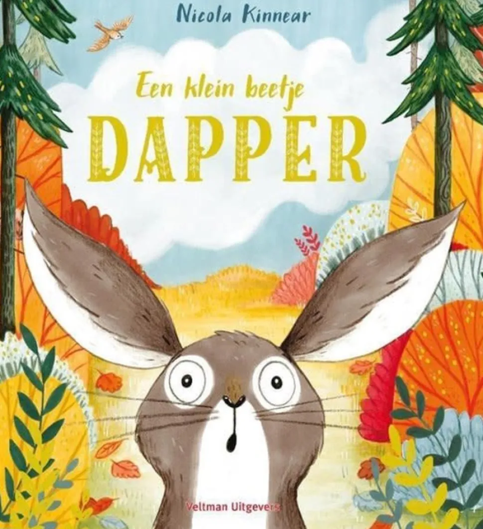 Boek: Een klein beetje dapper