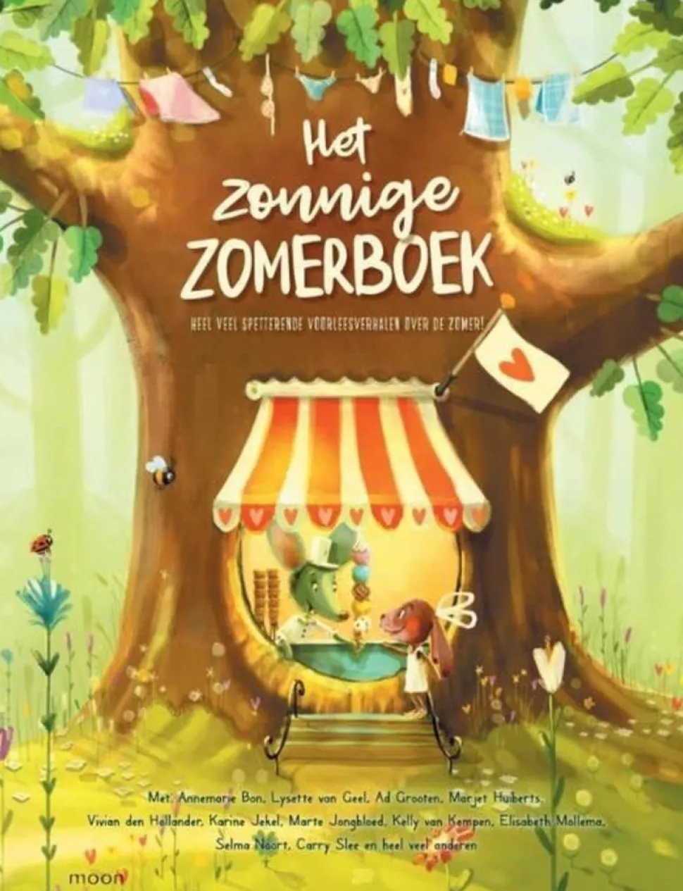 Boek: Het Zonnige Zomerboek