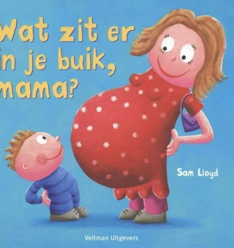 Boek- Wat zit er in je buik mama?