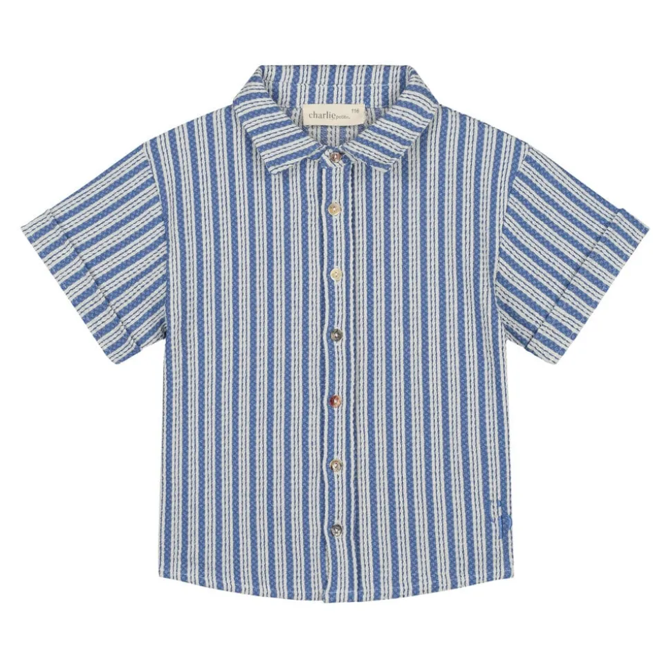 Charlie Petite | Len Blouse | StripesBlue/White