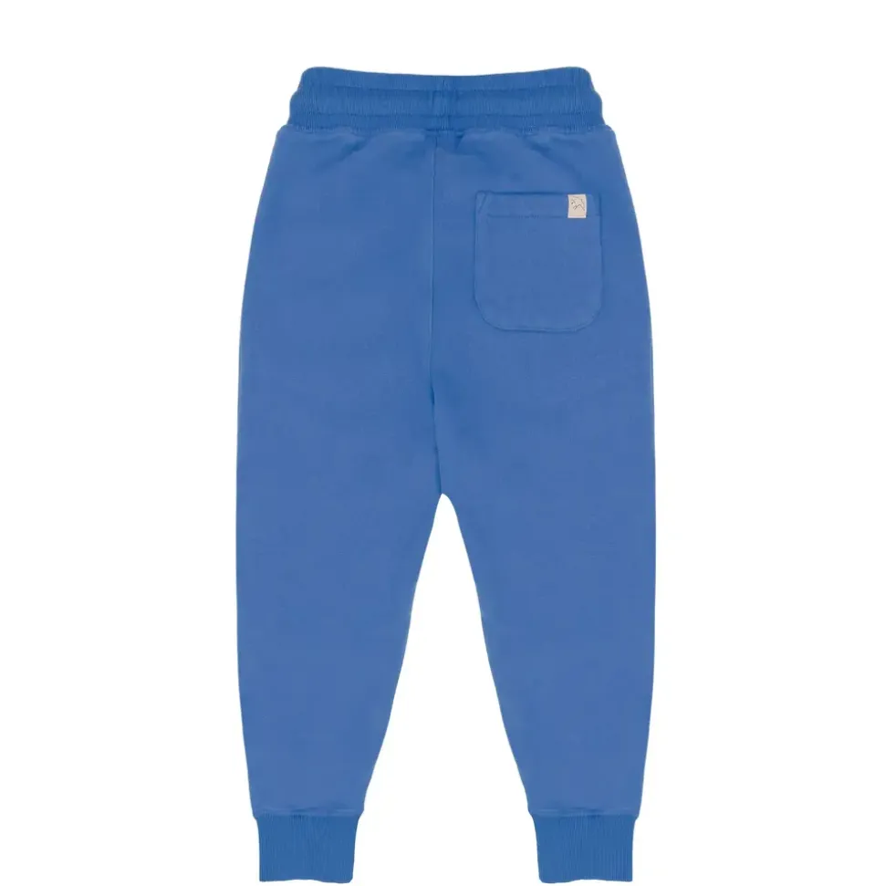 jenest__sammy_jogger__cob_2.webp Jenest | Sammy jogger | Cobalt blue